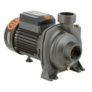 Bomba Centrífuga de Alto Caudal Bercatti BHFM6B 3.2 HP: Potencia Industrial para Riego y Trasvase - Imagen 1