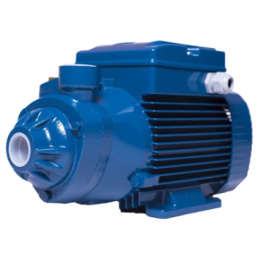 Bomba Periférica Pedrollo PKm 200 – 2HP: Potencia Extrema e Ingeniería Italiana de Alto Flujo - Imagen 2