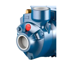 Bomba Periférica Pedrollo PKm 90 – 1HP: Máxima Presión Italiana para Hogares Exigentes - Imagen 3