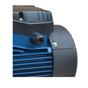 Bomba Centrífuga Bestflow BTCM75 1HP: Eficiencia y Caudal para Abastecimiento Doméstico - Imagen 2