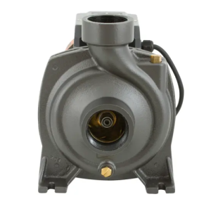 Bomba Centrífuga de Alto Caudal Bercatti BHFM6B 3.2 HP: Potencia Industrial para Riego y Trasvase - Imagen 2