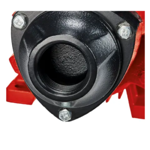 Bomba Periférica Einhell GC-TP 4622 – 460W de Alta Presión y Rendimiento Superior. Opción A (Profesional) - Imagen 2