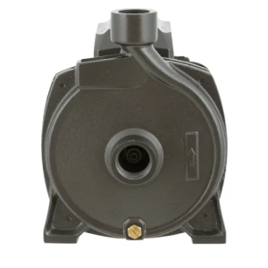 Bomba Centrífuga Bercatti CPM158 1 HP: Rendimiento Confiable para Riego y Abastecimiento - Imagen 2