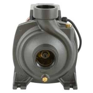 Bomba Centrífuga de Alto Caudal Bercatti BHFM5AM 2.2 HP: Potencia y Eficiencia para Trasvase de Agua - Imagen 2