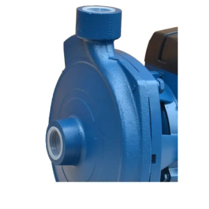 Bomba Centrífuga Bestflow BTCM75 1HP: Eficiencia y Caudal para Abastecimiento Doméstico - Imagen 3