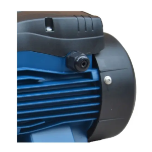 Bomba Bestflow Periférica BTPM75 1 HP: Máxima Presión para Elevación y Redes Domésticas - Imagen 3