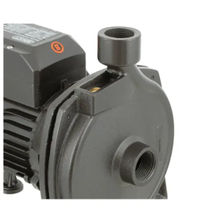 Bomba Centrífuga Bercatti CPM158 1 HP: Rendimiento Confiable para Riego y Abastecimiento - Imagen 3